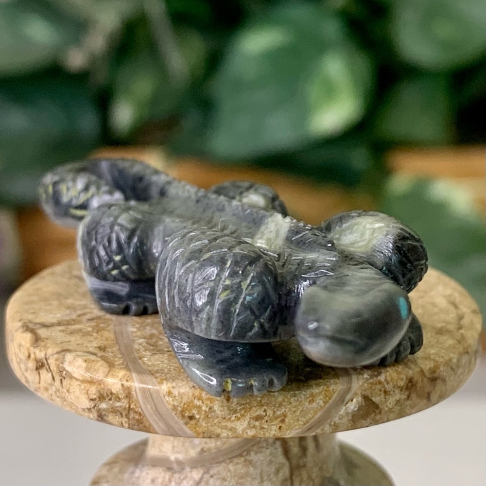 Authentic Zuni Picasso Marble Lizard Fetish Carving Nelson Yatsattie 2.5" Signed - Picture 3 of 16